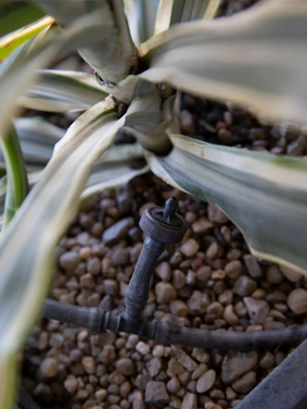 DripMatrix™ Smart Gardening Kit | Gravity-Based Eco Irrigation System | Garden Automation by Dripmatrix