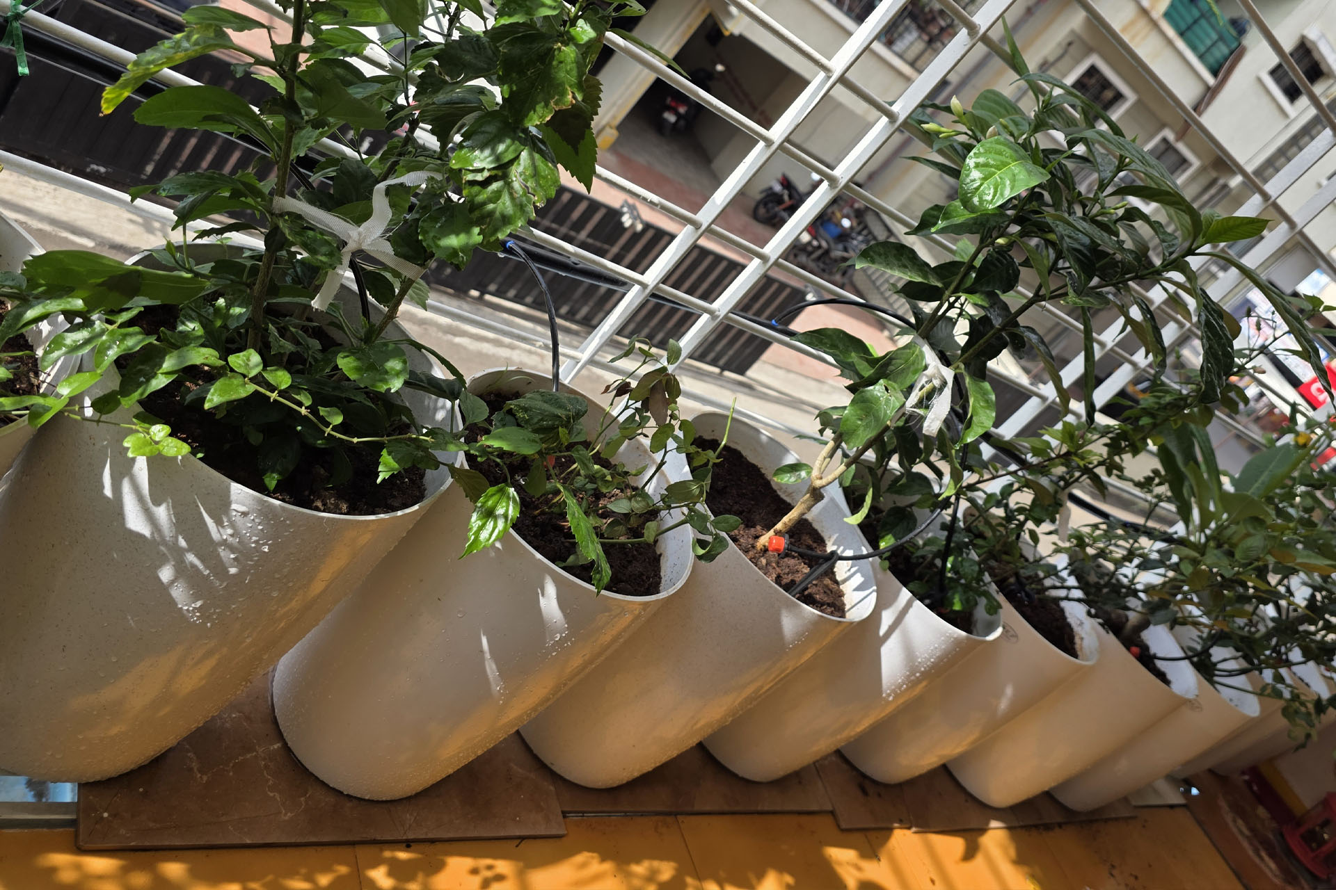 DripMatrix™ Smart Gardening Kit | Gravity-Based Eco Irrigation System | Garden Automation by Dripmatrix