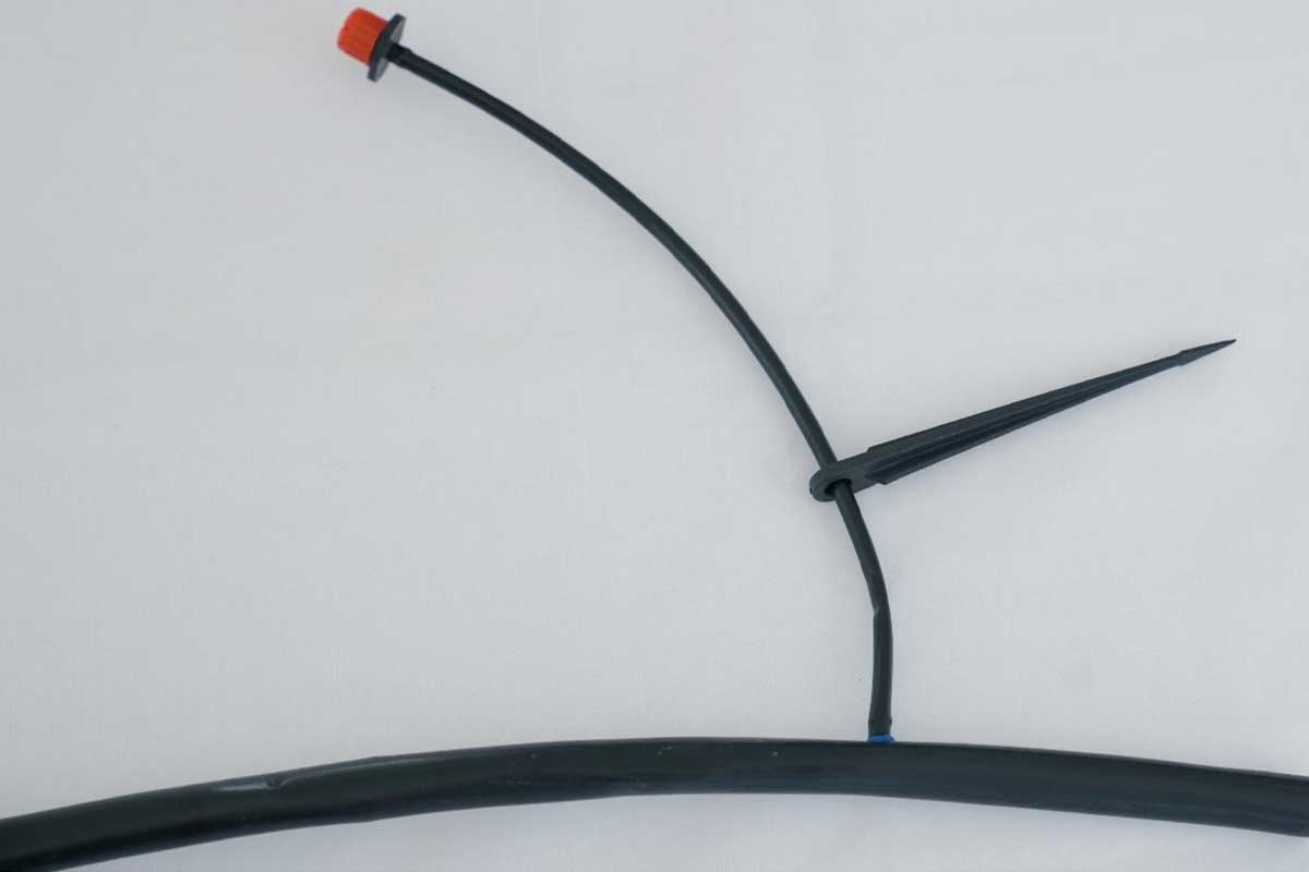 Step6 Image